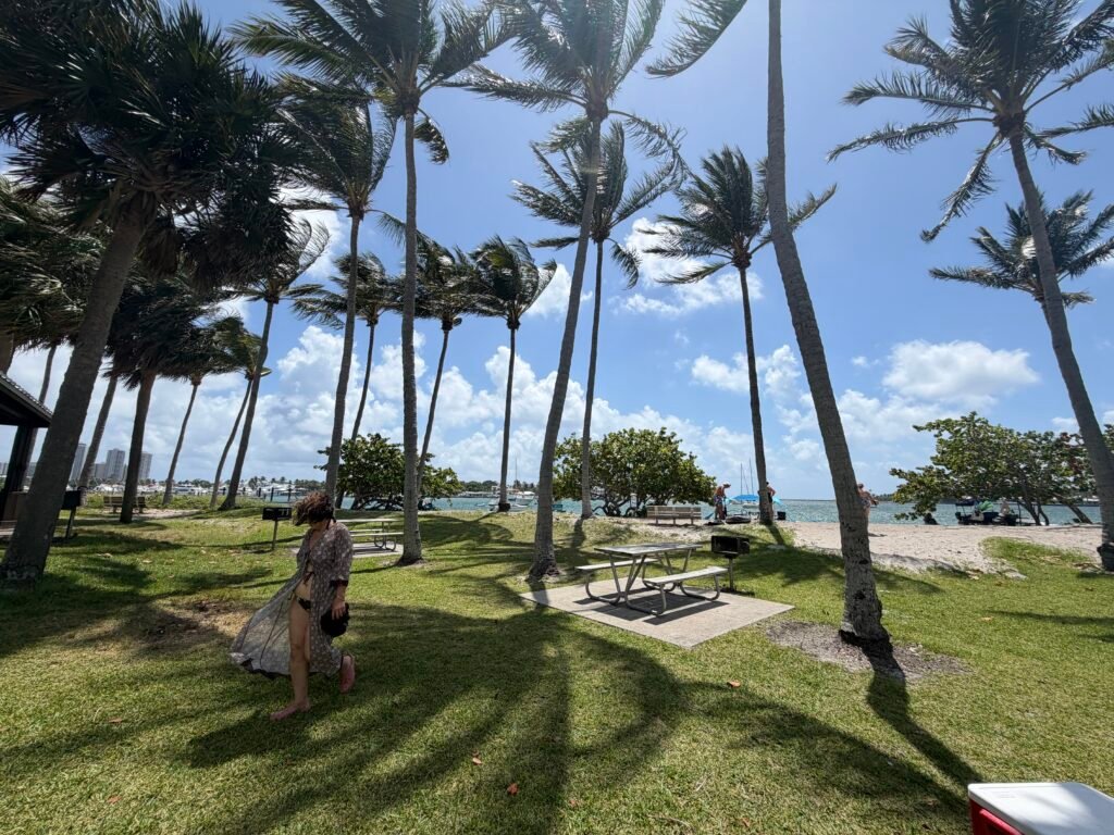 Picnic tables and grills under palm trees next to the beach on Peanut Island