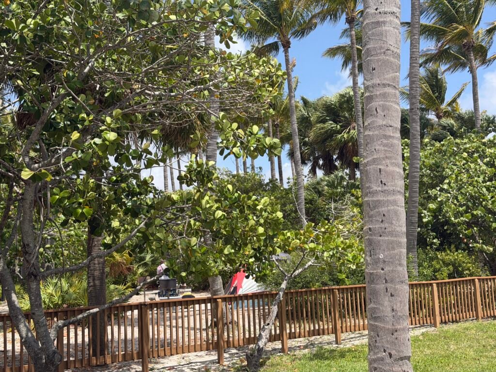 Peanut Island campground behind a wooden fence, surrounded by palm and sea grape trees