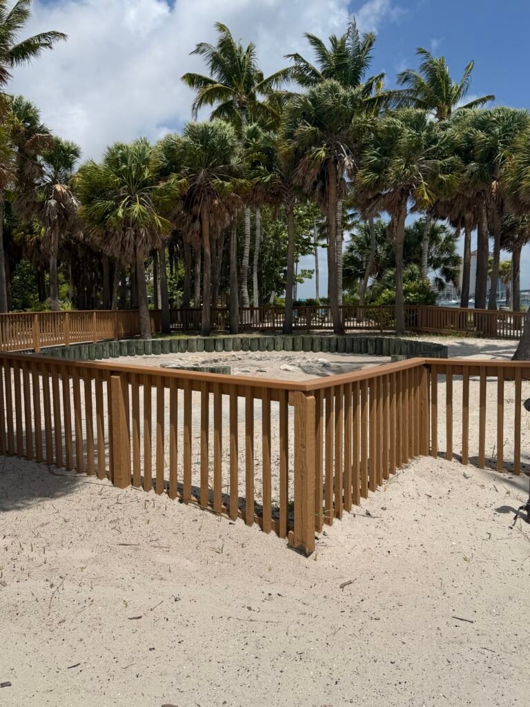 Fenced communal fire ring at the Peanut Island campground, surrounded by palm trees