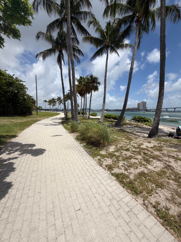 Palm-lined paved walking trail along the water on Peanut Island, with the Blue Heron Bridge in the distance