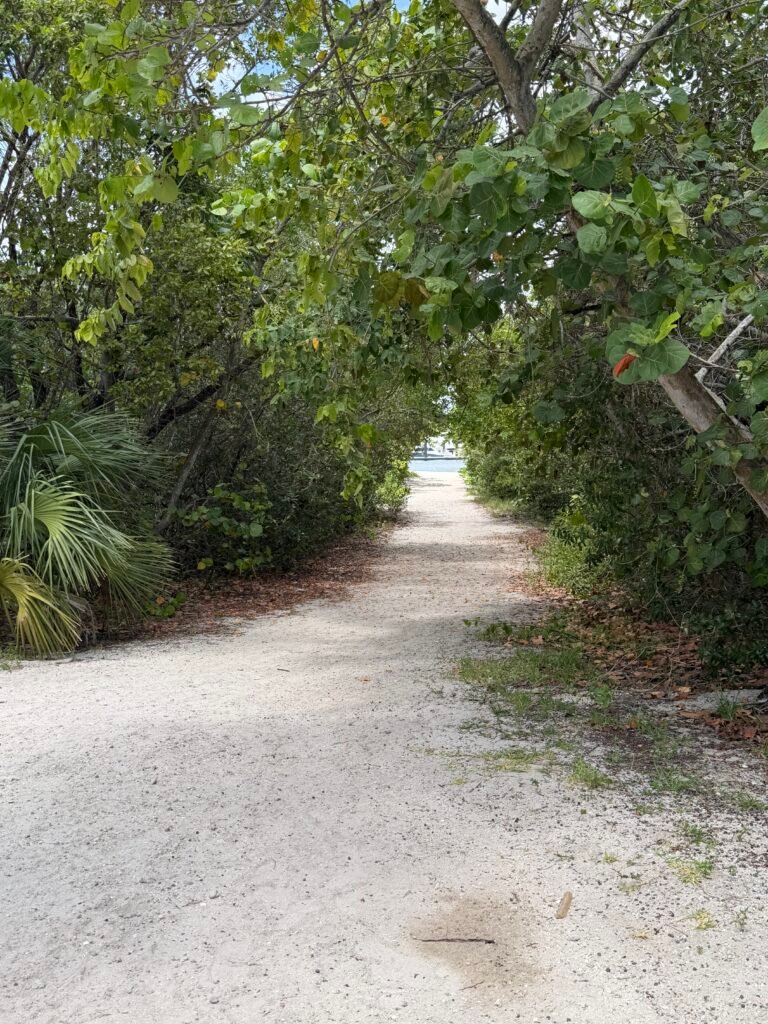 Sandy trail through a tunnel of sea grape trees leading to the water on Peanut Island